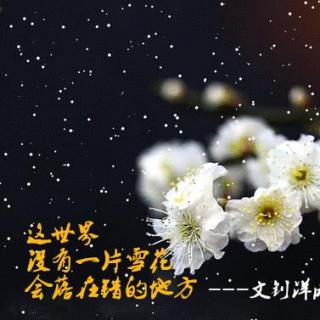 1.著名问观梅占，梅花易数的由来