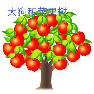 慧慧老师—《大狗和苹果树🍎》