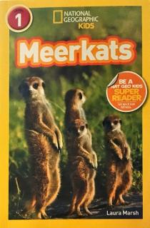 196. Meerkats