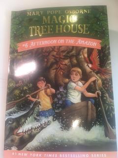 Magic Tree House 6