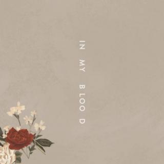 In my blood / Shawn Mendes