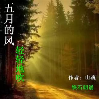 《五月的风轻轻地吹》 作者：山魂 ；铁石朗诵