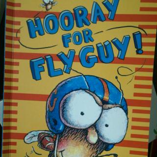 201905041 Hooray for Fly Guy
