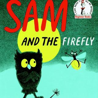 2019.05.05-Sam and the Firefly