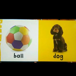 words(ball, dog)