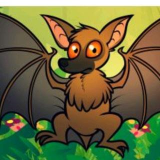 【故事341】供销幼儿园晚安故事《蝙蝠是鸟还是兽》