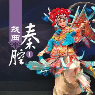 秦腔薛志秀 辕门斩子 小小奴才太大胆