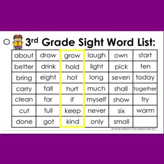 Sight Words [Grade 3] 3