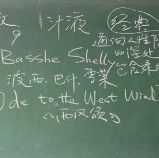 因爱之名——一位普通高校教师的心声