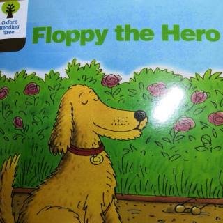 floppythehero20190506