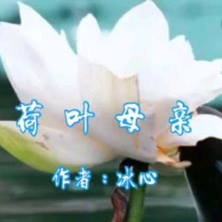 《菏叶母亲》