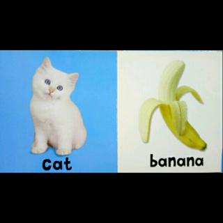 words(cat, banana)