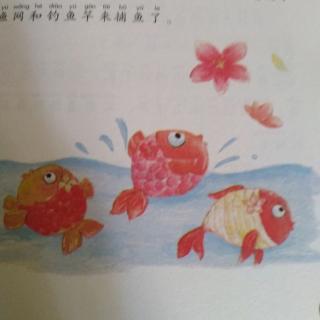 金波童话集……花瓣鱼🐠