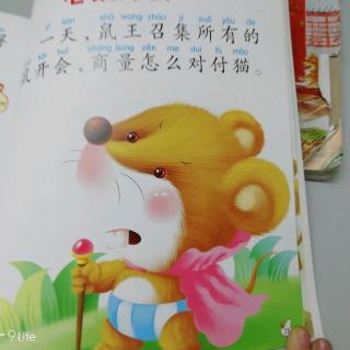 老鼠开会🐭