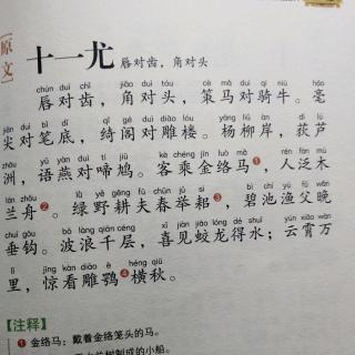 十一尤2