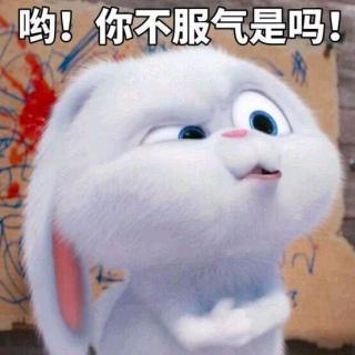 第53章 人帅到哪都发光