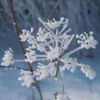 相识在初雪