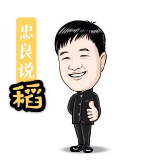 忠良说稻|注重公私分明