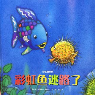 诸城市实验幼儿园绘本故事推荐第126期《彩虹鱼迷路了》