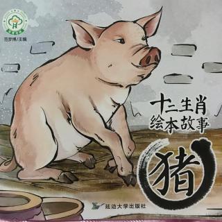 十二生肖绘本故事——猪🐷