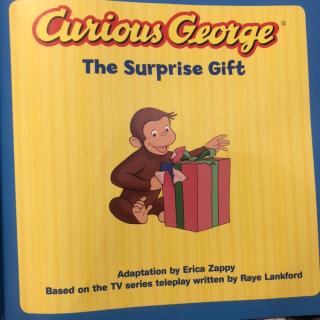 The Surprise Gift