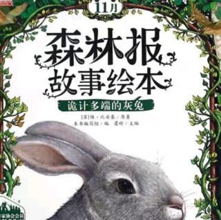 森林报故事绘本—诡计多端的灰兔