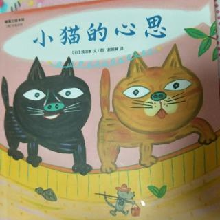 小猫的心思