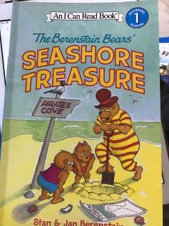 seashore treasure