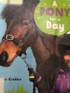 A Pony For A Day