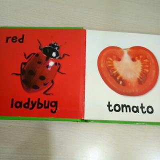 colors（red, ladybug, tomato）