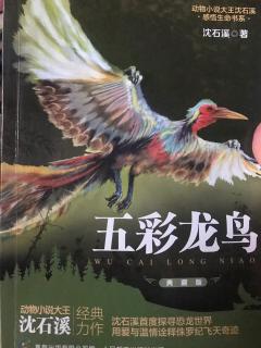 小米妈妈讲故事——五彩龙鸟（2）