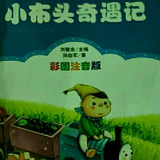 《小布头奇遇记》24《第二次遇救》