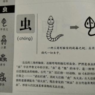 虫字的演变汉字图片