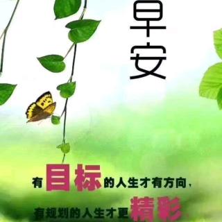 园长妈妈:早安分享🌻