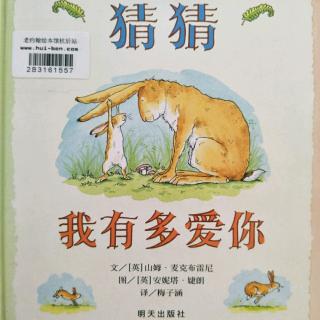 小静老师的晚安故事《猜猜我有多爱你》