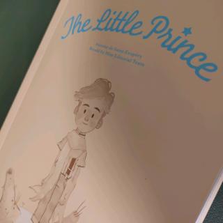 The Little Prince 14💡💡