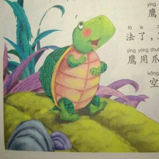 天一幼儿园邓老师讲故事《乌龟与鹰》