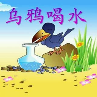 乌鸦喝水