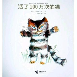 喵喵老师🐱153《活了100万次的猫》