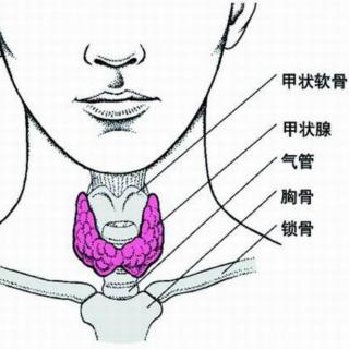 甲亢为什么会合并胫前水肿？