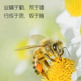 曾昌蓉《公开课》