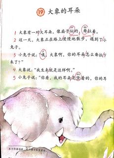 19.大象的耳朵👂
