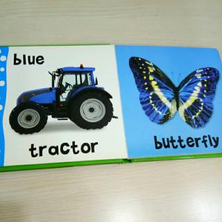 colors(blue, tractor, butterfly)