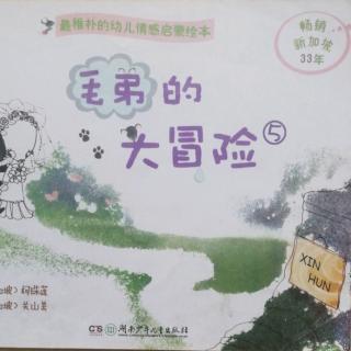 毛弟坠入爱河