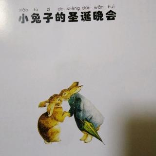 小兔子的圣诞晚会-彼得兔故事全集5（3）