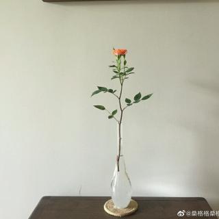 桑格格的诗：夸出一朵花 ｜小镇晨香