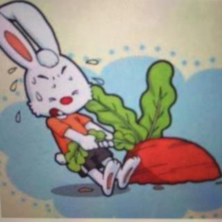 不懂分享的兔子🐰