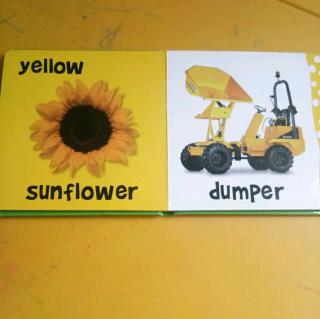 colors(yellow, sunflower, dumper)