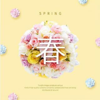 静美的春天 – DJ苏苏