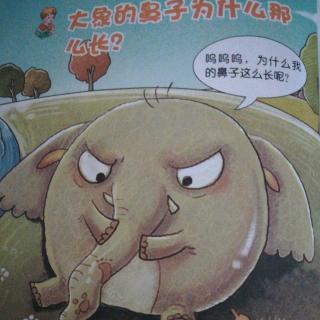 大象🐘的鼻子👃为什么那么长？